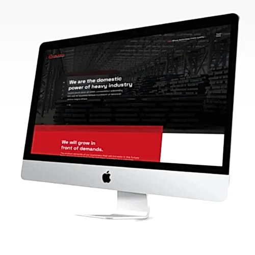 çelikray web çalışması