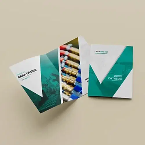 Pivvalve Katalog Çalışması